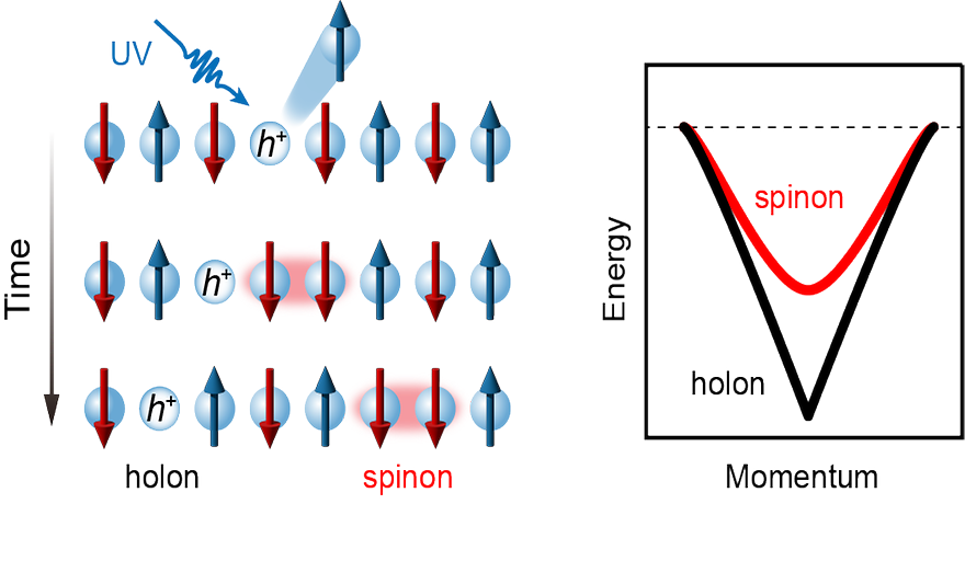 아주대·KAIST 연구팀, 사슬구조 양자소재 내 스핀-전하 분리 현상 관측 성공